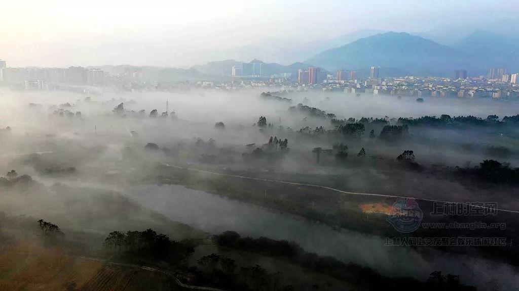 可爱奥莉甜美夏装