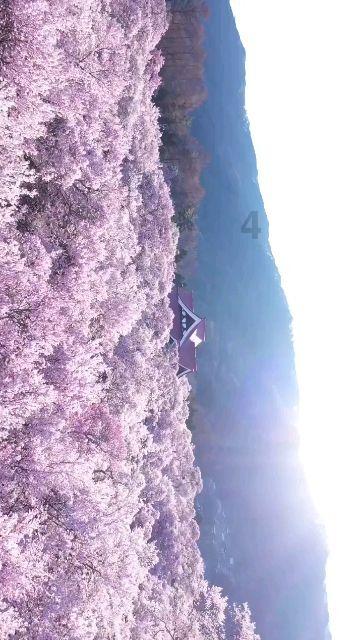 伊拉克民兵武装“真主旅”宣布暂停针对美军的军事行动