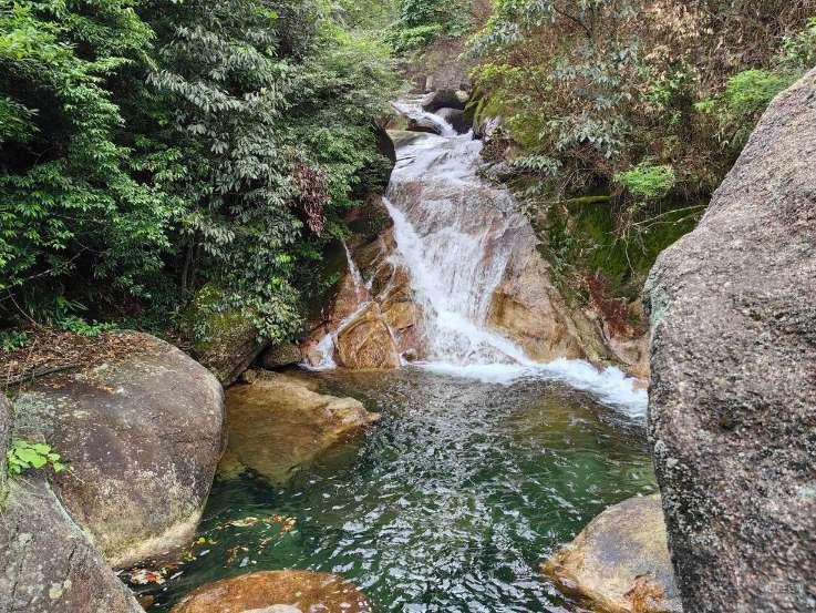 小企鹅逃生